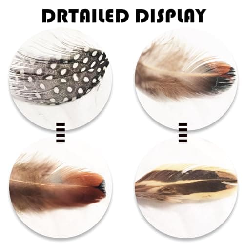LURNODY 50 Pièces Plumes D'Artisanat Plume Decoration Plumes de Dinde Naturelles Plumes de Bricolage, pour Les Projets de Bricolage, Les Décorations de Vacances,DéCoration d'halloween