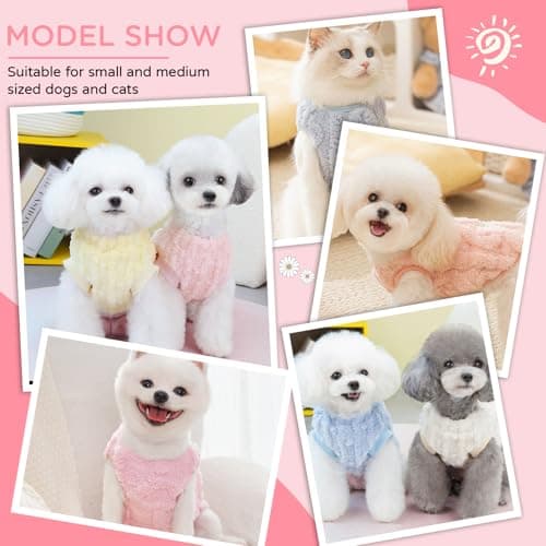 Hyran Pull Chien, Pull Chien Petite Taille, Pull Chat, Pull Chihuahua, Pull Chaud Hiver pour Chien Chat, Vetement Chien pour Petit Moyen Chien Chiot Chat (Rose, M)