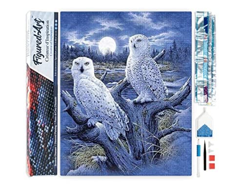 Figured’Art Diamond Painting Broderie Diamant 40x50cm Toile Entière Roulée avec Strass Perles Carrés - Chouettes et Lune - Kit Complet Animaux 5D DIY Activité Manuelle Loisirs Créatifs Adultes