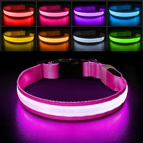 PcEoTllar Collier Lumineux Chien, Collier Chien LED Rechargeable et Etanche Clignotant, Collier Chien Fluorescent avec 7 Couleurs, Sécurité avec Réglable pour Petits Moyens Gros Chiens, Rose-M