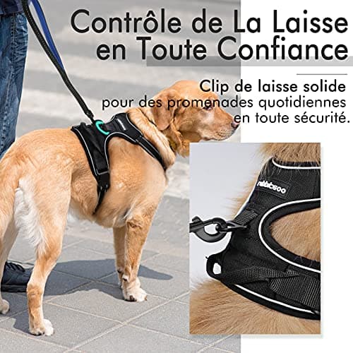 rabbitgoo Harnais Chien Anti Traction, Arnet pour Chien Facile à Mettre Harnais Réfléchissant Réglable avec Attache Devant Harnais pour Chien Moyen, Large, Couleur Noir