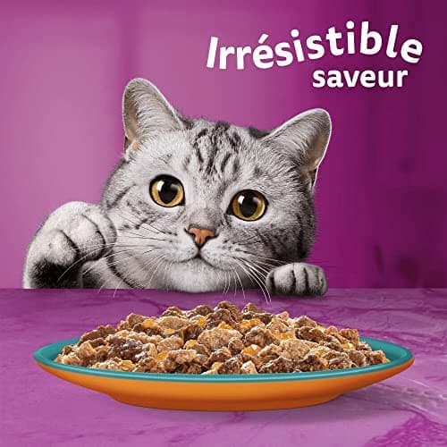 WHISKAS Repas pour Chat - 84 Sachets Fraîcheur de 85g - Pâtée pour Chat Adulte en Gelée - Duo Terre & Mer (4 Variétés) - Nourriture Humide Complète & Equilibrée, 84x85g