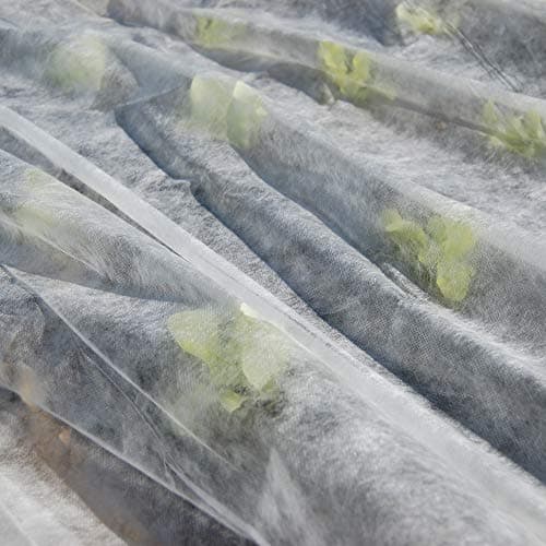 TENAX Ortoclima Plus 2,40x10 m Blanc, Voile d'Hivernage pour Plantes et Cultures, en Tissu Non Tissé 30 g/m2, Protège les Plantes, Fleurs et Légumes du Froid, du Gel et du Vent