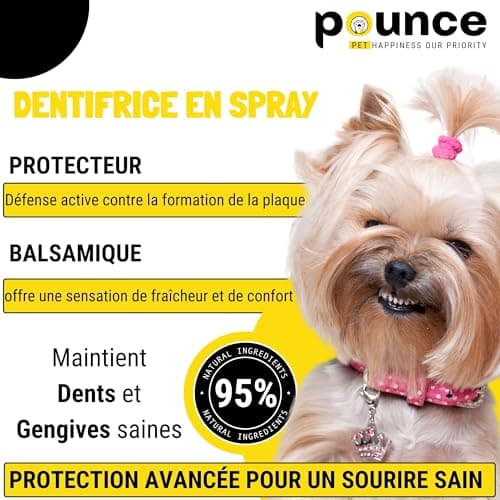 Dentifrice Chien Et Chat Spray 100ml 95% Naturel - Hygiène Buccale Supérieure Sans Rinçage, Effet Anti-Tartre Et Haleine Fraîche, Avec Propolis + Ananas + Menthe, Qualité Italienne