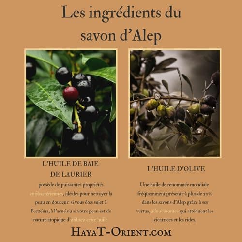 Savon d'Alep Traditionnel - 60% Huile d'olive - 40% Huile de Baies de Laurier - (2 x 200grs) - Fait à la main, Hydratant & Naturel, Idéal pour Toutes les Peaux