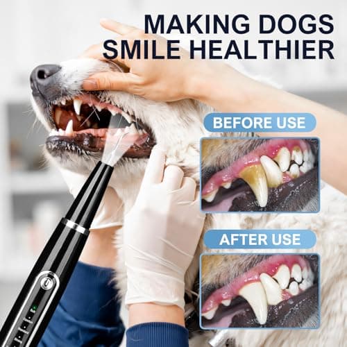 Ciphuoly Detartreur Dentaire Ultrason pour Chien et Chat - Kit Detartrage Dentaire Professionnel, Étanche IPX6, Anti Tartre Chien & Mauvaise Haleine, Nettoyage Sûr des Gencives