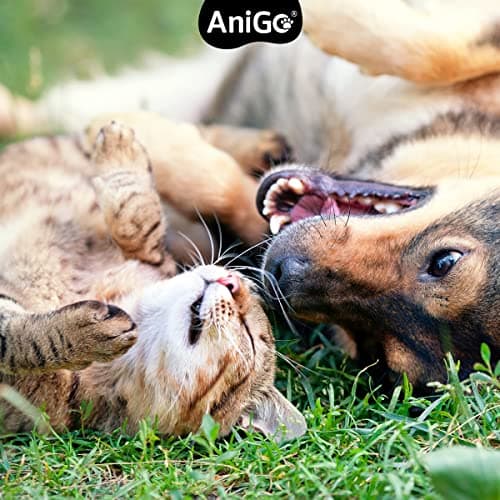 AniGo Griffe du diable pour chiens, chats et chevaux 1 kg – Poudre de griffes du diable, racine de griffe du diable, poudre articulaire, pour soutenir les articulations agiles et la mobilité