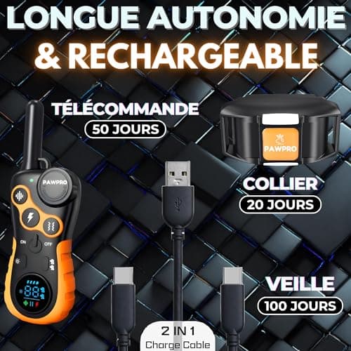 PAWPRO Collier de Dressage, Portée de 3km, Mode Lumière Nocturne, Guide de Dressage Inclus, 124 Niveaux d’Entraînement, BIP Vibration Choc, Adapté à Tous Les Chiens, Étanche Rechargeable, Marque FR