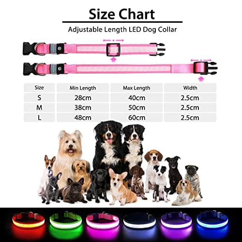 PcEoTllar Collier Lumineux Chien, Collier Chien LED Rechargeable et Etanche Clignotant, Collier Chien Fluorescent avec 7 Couleurs, Sécurité avec Réglable pour Petits Moyens Gros Chiens, Rose-M