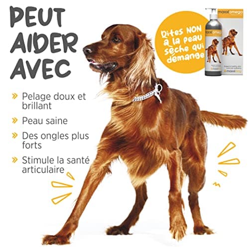 maxxipaws | maxxiomega | Huile Oméga Avancée pour Chiens | pour Une Peau Saine et Un Pelage Brillant | Pompe Facile à Utiliser | Oméga 3, 6 et 9 Plus Vitamines et Biotine | 296 ML