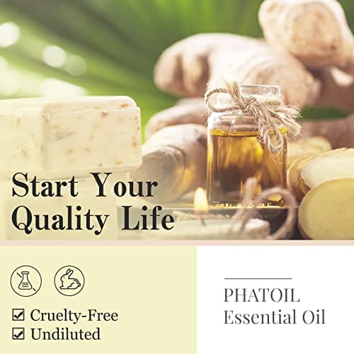 PHATOIL Huile Essentielle Gingembre 10 ML, Huiles Essentielles Pures Naturelles pour Aromathérapie Diffuseur Humidificateur