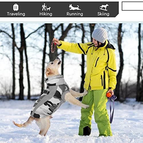 Hjyokuso Manteau Chien, Manteau pour Chien Doublé et Chaud, Manteaux d'hiver pour Chiens avec Fermeture à Glissière, Manteau Chien Imperméable, Veste Chien Hiver pour Petit/Grand/Moyen Chiens-Rris XS