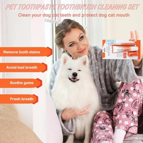 Brosse à Dents Et Dentifrice Pour Chien -Dentifrice à l'Arôme De Bœuf 75g, Brosse à Doigts Et Brosse à Dents à Poils Souples - Soins Dentaires Pour Chien Et Chat Contre La Mauvaise Haleine