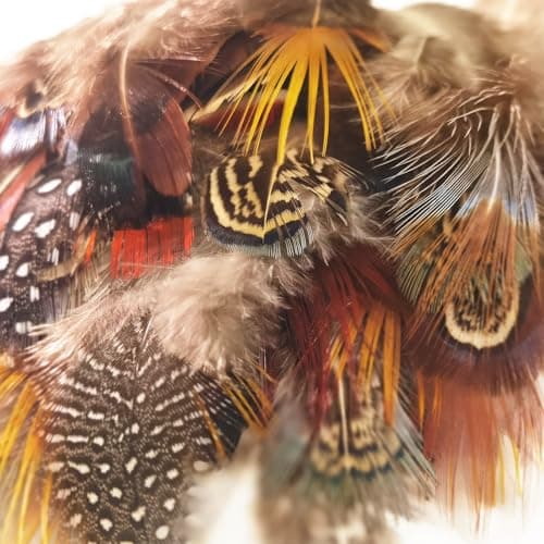 LURNODY 50 Pièces Plumes D'Artisanat Plume Decoration Plumes de Dinde Naturelles Plumes de Bricolage, pour Les Projets de Bricolage, Les Décorations de Vacances,DéCoration d'halloween