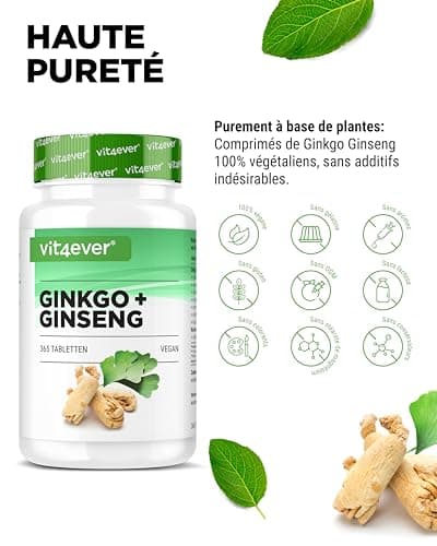 Ginkgo + Ginseng - 365 Comprimés - Extrait Spécial - Hautement Dosé - Ginkgo Biloba + Ginseng Coréen - Qualité Premium - Vegan