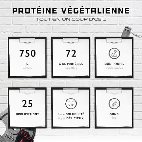 Poudre de protéine végétalienne - Protéine végétale de pois, riz, amande et chanvre - Sans soja - Délicieuse & crémeuse - (750 g, Vanille Cassis)
