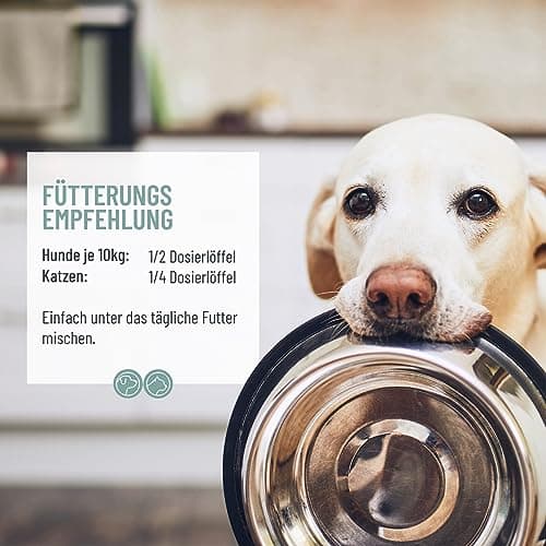 ReaVET DentaVital Soin Dentaire Chien & Chat 80g - détartrant Chien, remède Contre Le tartre Chien, Mauvaise haleine Chien Chat, Contre la Mauvaise haleine chez Le Chien