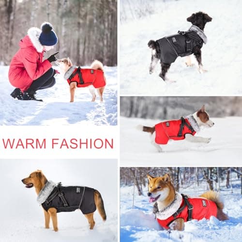 Oslueidy Chaud Chien Manteau, Veste d'animaux de Compagnie d'hiver Vêtements de Petits Chiens réfléchis Veste à Coupe-Vent Tenue de Chiens avec Harnais pour Les Petits Chiens de Taille Moyenne