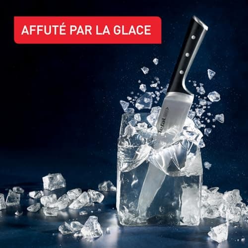 TefaI Ice Force Ensemble 11 pièces Bloc couteaux de cuisine + 10 couteaux, Lames en acier inoxydable allemand, Garantie 10 ans, Coupe et tranchant haute performance K232SA14