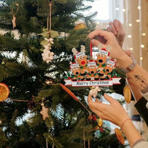 WERWAES Decoration Noel Sapin Personnalisable Boule de Noel Personnalisée 2024 Decorations Noel Famille 2,3,4,5,6,7,8 Idee Cadeau Noel