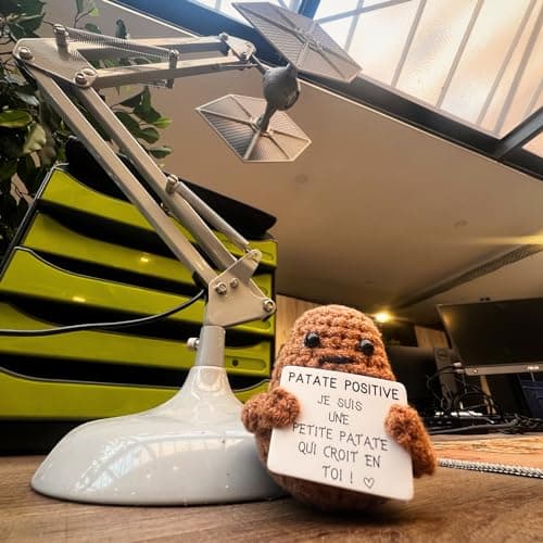 Patate Positive Cadeau Original & Amusant Decoration Maison | Idee Drole | Anniversaire Fille Garcon Ado Femme Homme Couple | Objet Collegue Bureau | Fete Enfant Parent | Peluche Fun & Motivation