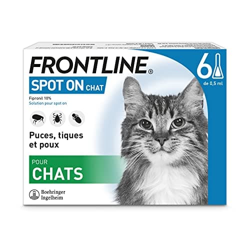 FRONTLINE Spot On Chat - Anti Puces, Tiques & Poux broyeurs - Protège L'Animal pendant 4 semaines contre les Puces, 2 semaines contre les Tiques - Fabriqué En France - 6 Pipettes Application Spot On