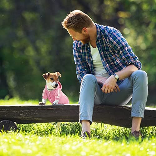 Dolahovy Sweat à Capuche pour Chien Vêtements pour Animaux de Compagnie Pulls pour Chiots Automne Wiver Polaire Chiens Veste Manteaux pour Chihuahua Teddy Petits Chiens Taille Moyenne Chats