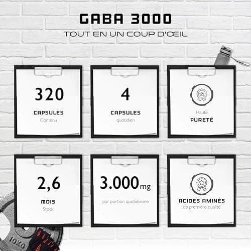 GABA 3000-320 gélules à 750 mg - Acide Gamma Aminobutyrique - Fortement dosé avec 3000 mg par portion journalière - Acide aminé de première qualité - Vegan
