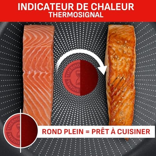 Tefal Ingenio Batterie de cuisine 20 pièces, Poêles, Casseroles, 2 poignées amovibles, Induction, Revêtement antiadhésif, Empilable, Compatible lave-vaisselle, Emotion L897SK04