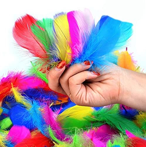 Plumes Couleur,300 PCS Plume Loisirs Creatifs Naturelles Décorations Plumes pour Bricolage Capteurs de Rêves Chapeaux Costume Fête à la Maison Décorations Mariage 8-12CM