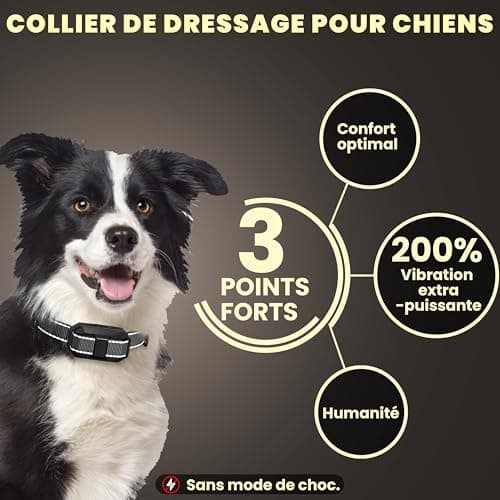 BULIFE Collier de Dressage pour Chiens, 1-50 Niveaux de Vibration, Portée 3000m avec Télécommande, étanche IPX67, 3 Modes : Super Vibration/Bip/Vibration,Rechargeable, pour Chiens de 3 à 55kg (1)