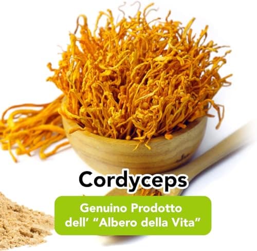 Cordyceps Sinensis Bio en Poudre - 100g. Cordyceps Militaris Crue. Riche en Propriétés et Bienfaits des Champignons.