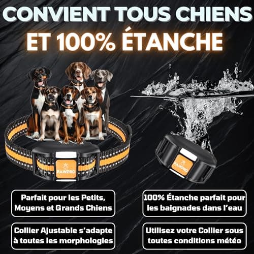 PAWPRO Collier de Dressage, Portée de 3km, Mode Lumière Nocturne, Guide de Dressage Inclus, 124 Niveaux d’Entraînement, BIP Vibration Choc, Adapté à Tous Les Chiens, Étanche Rechargeable, Marque FR