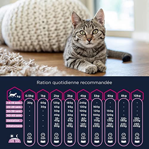 EUKANUBA - Croquettes Premium pour Chaton – Riche en Poulet Frais et en Riz – Favorise la croissance - Alimentation 100% Complète et Equilibrée – DHA – Sans Blé – Sans OGM - Sac refermable - 2kg