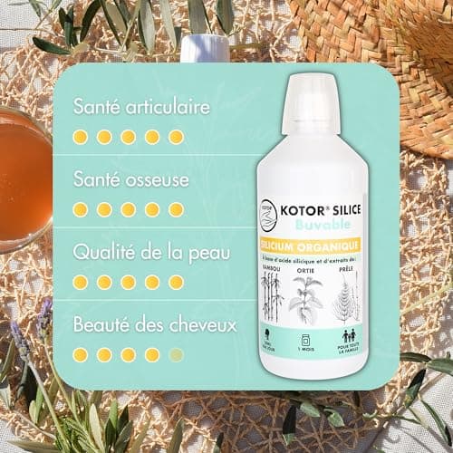 KOTOR SILICE BUVABLE 1L | Lot de 3 | Silicium Organique Francais & Naturel | Santé des Articulations, Cartilages, Os, Peau, Cheveux, Ongles | Silicium + Ortie + Prêle + Bambou | 3 mois