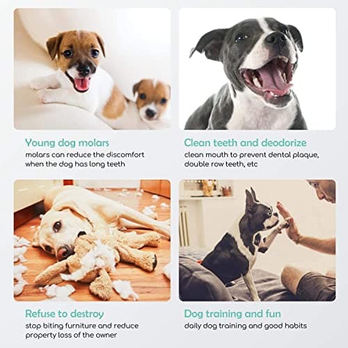 Nobleza - Friandises pour Chien, 120 Pièces bâtonnets à mâcher Chien, 125mm x 10mm, Stick Dentaire, Riche en protéines, pauvre en matières Grasses, 6 sachets de 20 Sticks