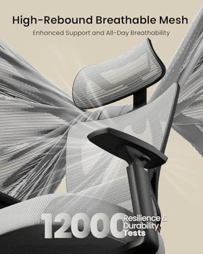 ProtoArc EC100 Chaise de Bureau Ergonomique - Chaise Gaming avec Un Coussin à Ressorts Plus épais de 10 CM, Soutien Lombaire, Accoudoirs et Appui-tête Réglables - Gris