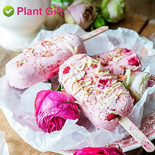 Plant Gift France Rose Buds, 50G/1.76oz 玫瑰 France Boutons de Rose, Pétales de Rose Rose, Tisane de Rose Douce, Anti-Stress et Magique, Soutien Immunitaire, Sans OGM, Sans Caféine