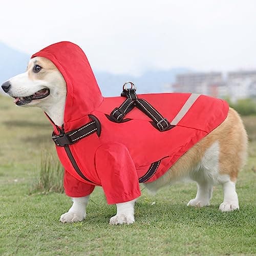 Dolahovy Imperméable pour Chien,Ponchos pour Chiens Veste imperméable pour Chien Vêtements de Pluie réglables pour Animaux de Compagnie avec Capuche pour Les Petits Chiens Moyens (XL, Rouge)