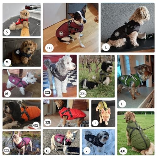 Aiboria Manteau d'hiver pour Chien Coupe-Vent Imperméable 2 en 1 Chiot Petit Gilet avec Harnais Veste Chaud Rembourré pour Chien Manteaux Imperméables pour Chiens Vêtements d'hiver pour Chiens