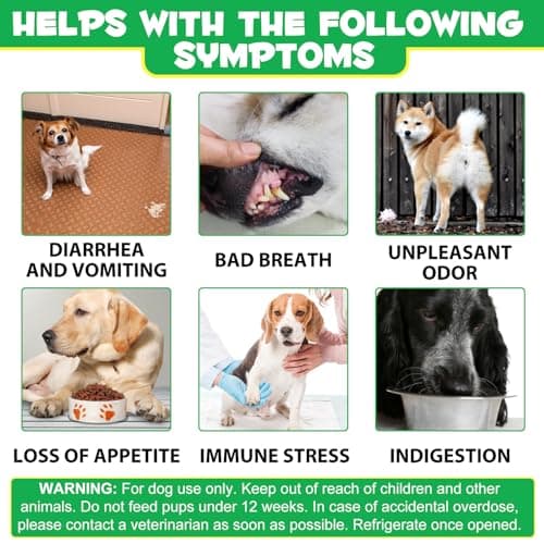 Probiotiques pour Chiens,Probiotique Doux à mâcher pour Chiens Enzymes digestives,Santé intestinale,Équilibre des levures, Système immunitaire et Soutien de la santé Globale (30 Soft Chews)