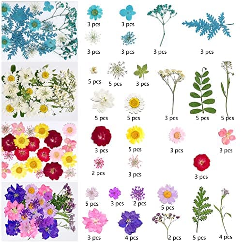 VEGCOO 110 Pièces Fleurs Séchées, Ensemble de Fleurs Séchées Naturelles Bricolage, Fleurs Naturelles Multicolores Pressées pour Bricolage Résine Bijoux Maquillage Habiller Nail Art Décorations