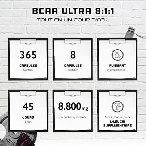 BCAA Ultra Caps - 365 gélules avec un dosage élevé de 1100 mg par gélule - Premium : rapport puissant 8:1:1 - Leucine, L-Isoleucine, L-Valine - Acides aminés essentiels à chaîne ramifiée