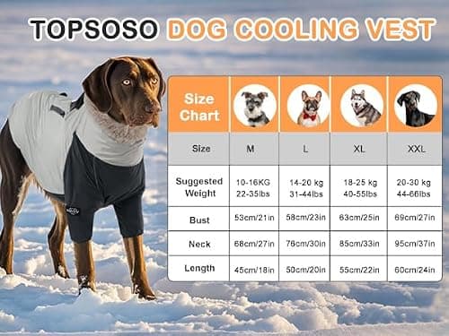 Manteau pour chien - Chaud - Imperméable - Coupe-vent - Matériau et doublure en cachemire - Manteau de pluie pour chien avec cordon réglable - Poche utilitaire - Manteau d'hiver pour chien avec