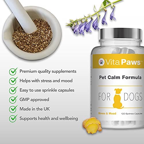 Formule Calmante pour Chien | Formule Naturel avec des extraits de Gingembre & Camomille | 120 Gélules |SimplySupplements