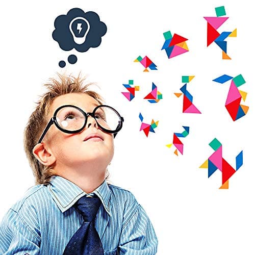 Coogam Magnétique Voyage Tangram Puzzles Livre Jeu Tangrams Jigsaw Formes Dissection avec Solution pour Enfant Adulte Vacances Tangos Voyageur Défi IQ Jouet Éducatif (360 Patterns)