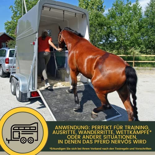 Magnésium Cheval Poudre - Calm Horse Relax Anti-Stress pour Calmer l'agitation I L-tryptophane Vitamine E - Magnésium pour Chevaux à Haute Dose Contre l'anxiété & Stress sérénité Cheval nerveux 1Kg