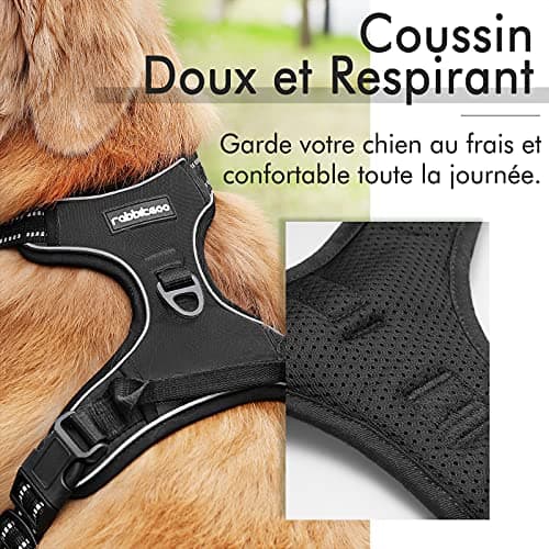 rabbitgoo Harnais Chien Anti Traction, Arnet pour Chien Facile à Mettre Harnais Réfléchissant Réglable avec Attache Devant Harnais pour Chien Moyen, Large, Couleur Noir