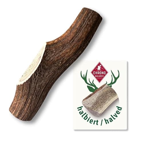 ChronoBalance® Bâtonnets L à mâcher en Bois de cerf pour Chiens: Jouet à mâcher Naturel, en Bois de cerf à 100%, favorisant l'hygiène Dentaire, Durable, sans Produits Chimiques.