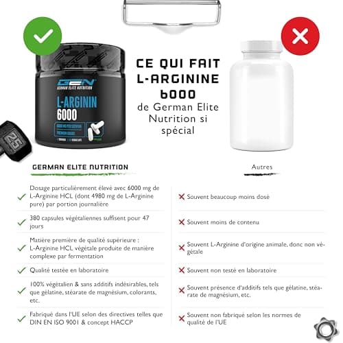 L-Arginine - 380 capsules végétaliennes - 6000 mg de L-Arginine HCL végétale par portion journalière (= 4980 mg de L-Arginine pure) - Acide aminé - Fortement dosé